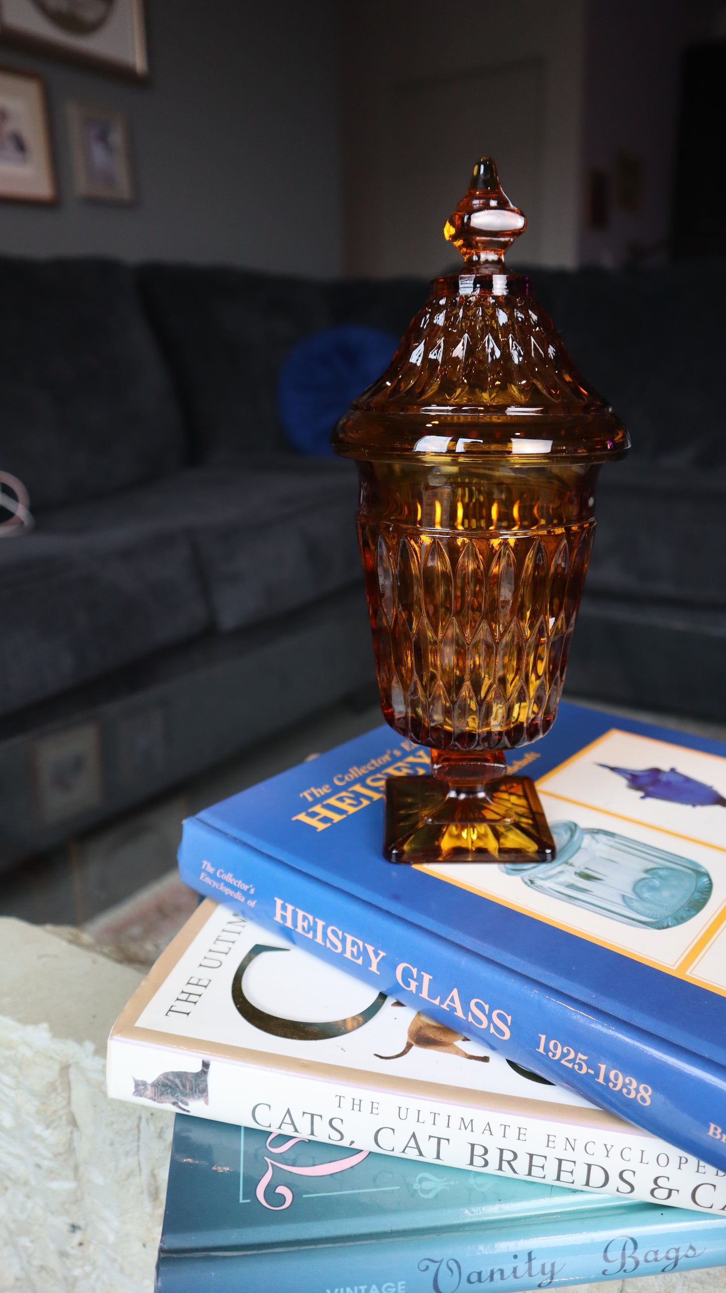 1970's Indiana Glass Mount Vernon Pattern Apothecary Lidded Candle