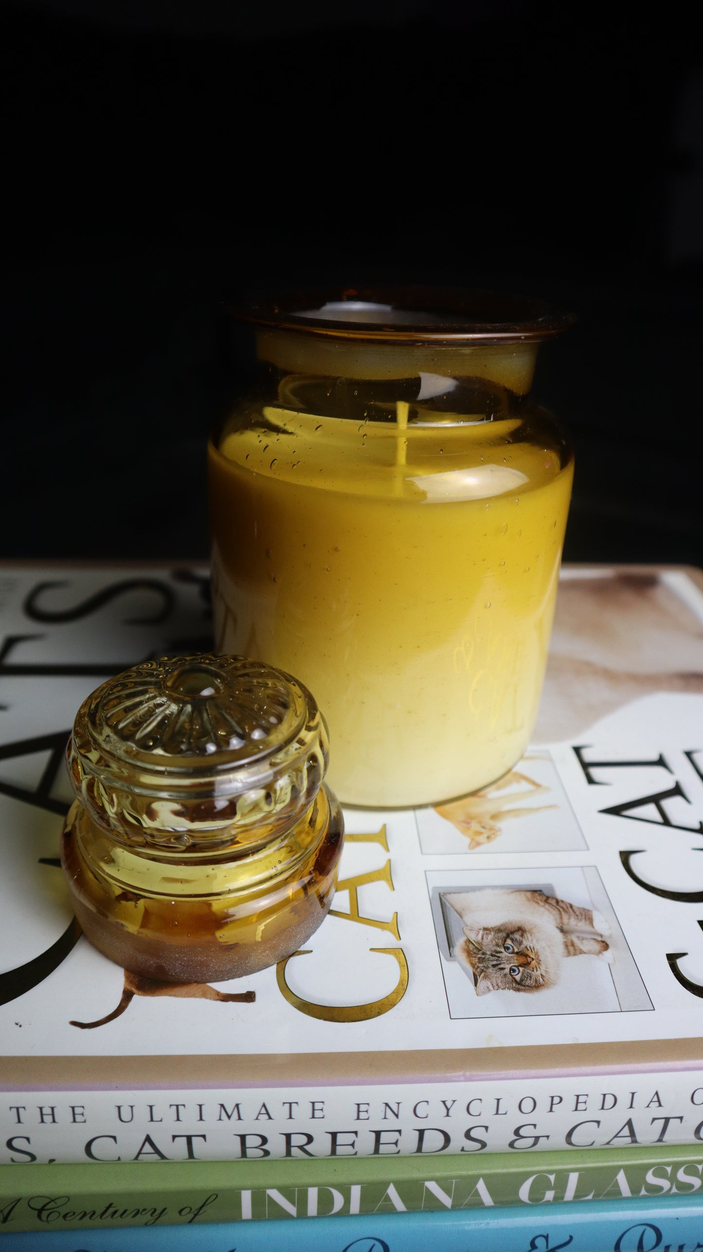 Takahashi Amber Brown Glass Canister Jar Flower Lid Candle