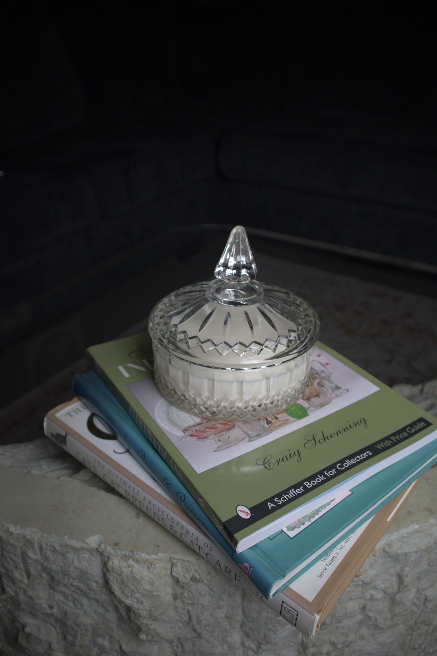 Indiana Princess Clear Glass Candy Dish Candle